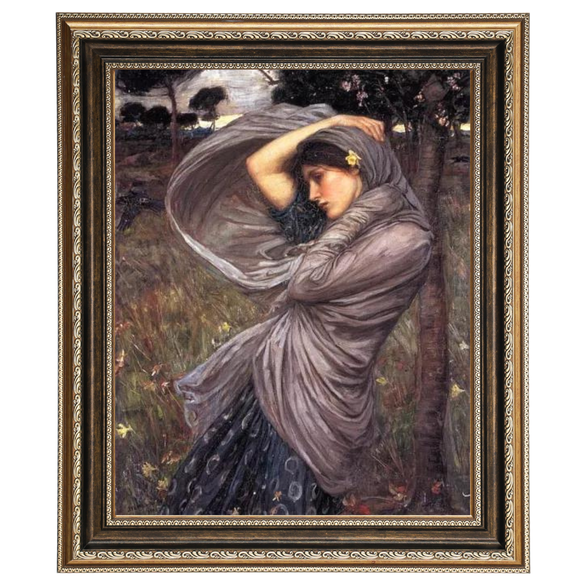 Boreas