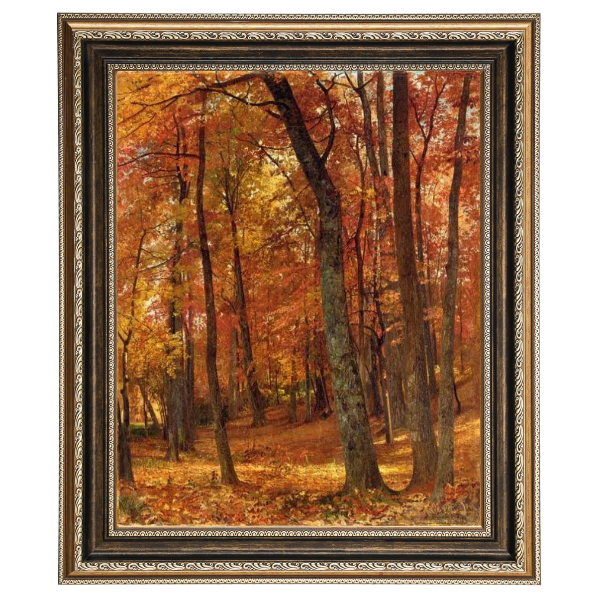 A Forest Interior
