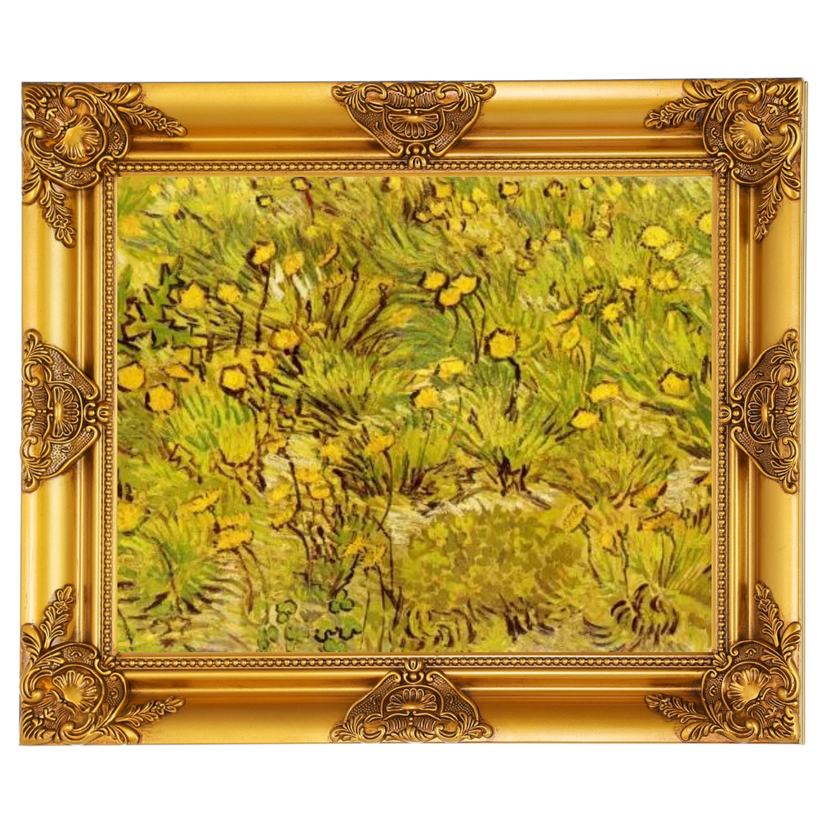 A Field of Yellow Flowers