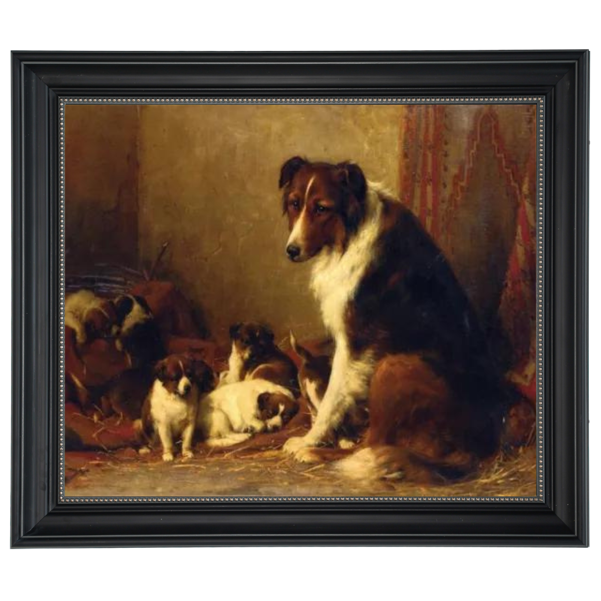 A Collie and Her Puppies