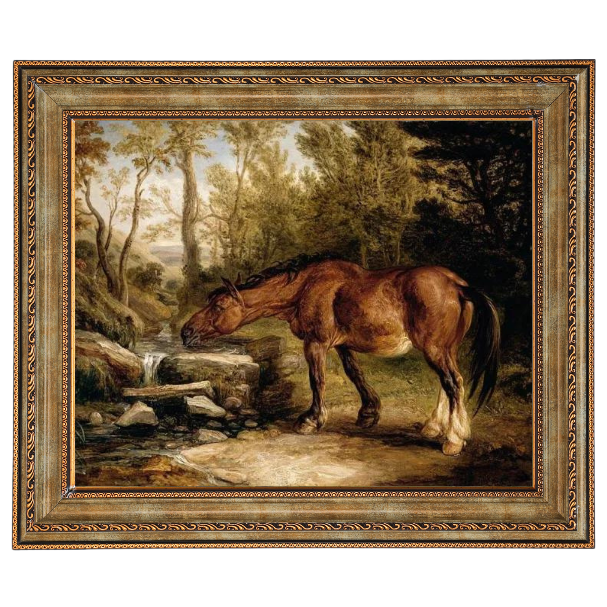 A Horse Drinking at a Stream