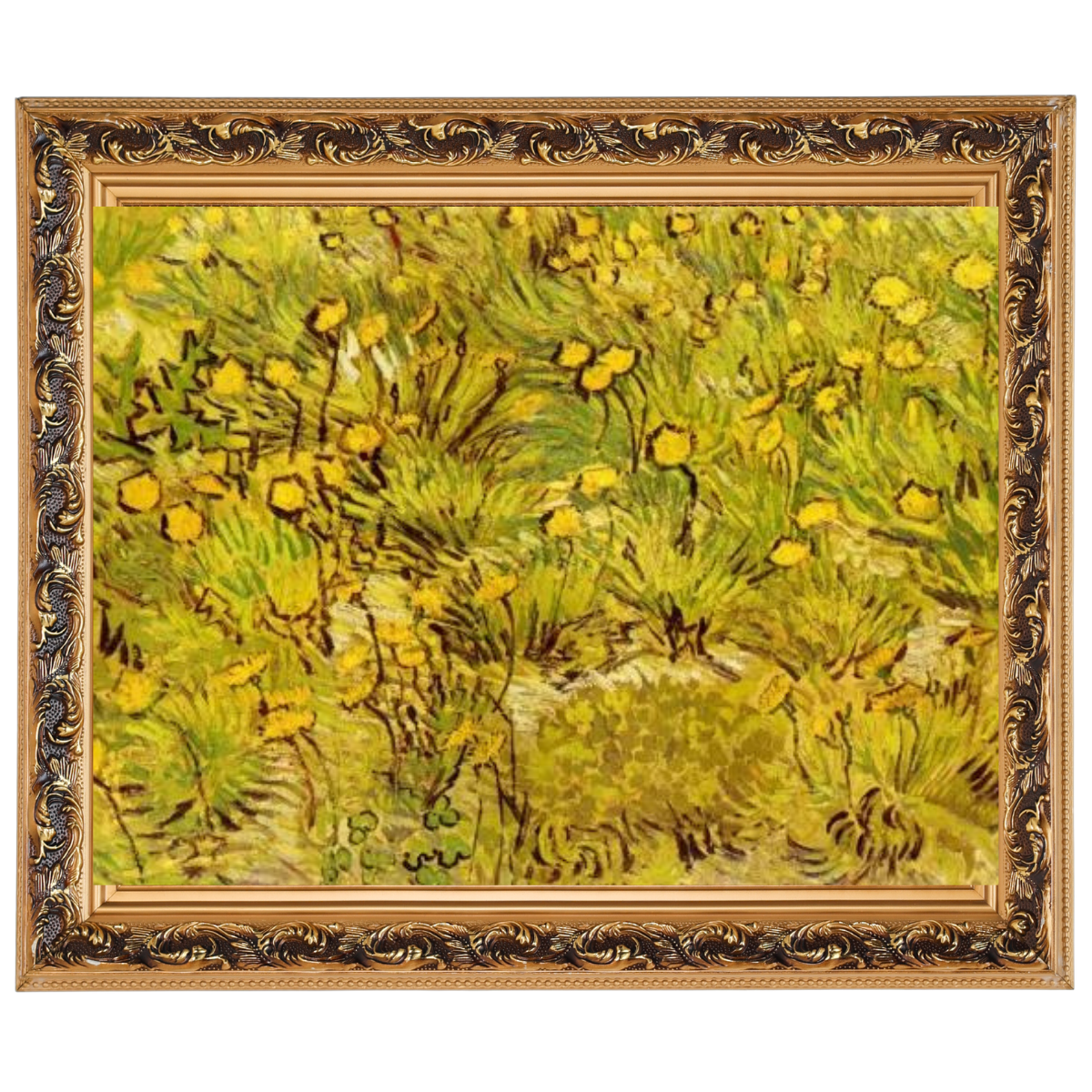 A Field of Yellow Flowers