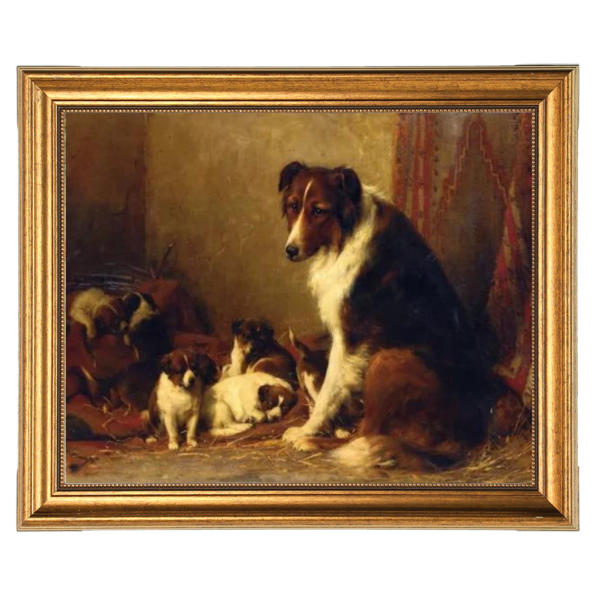 A Collie and Her Puppies