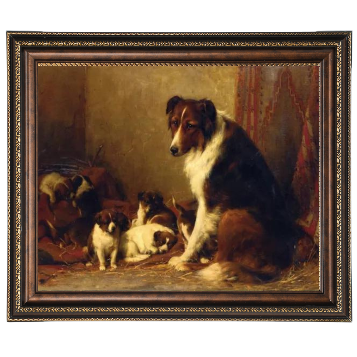 A Collie and Her Puppies