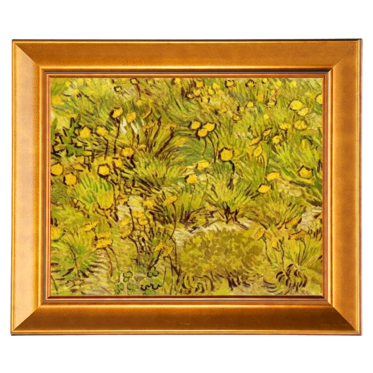A Field of Yellow Flowers