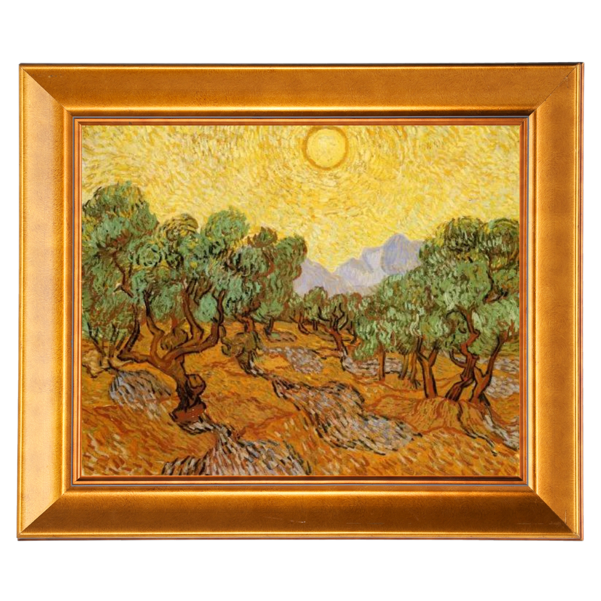 Olive Trees with Yellow Sky and Sun