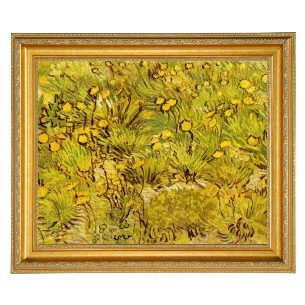 A Field of Yellow Flowers