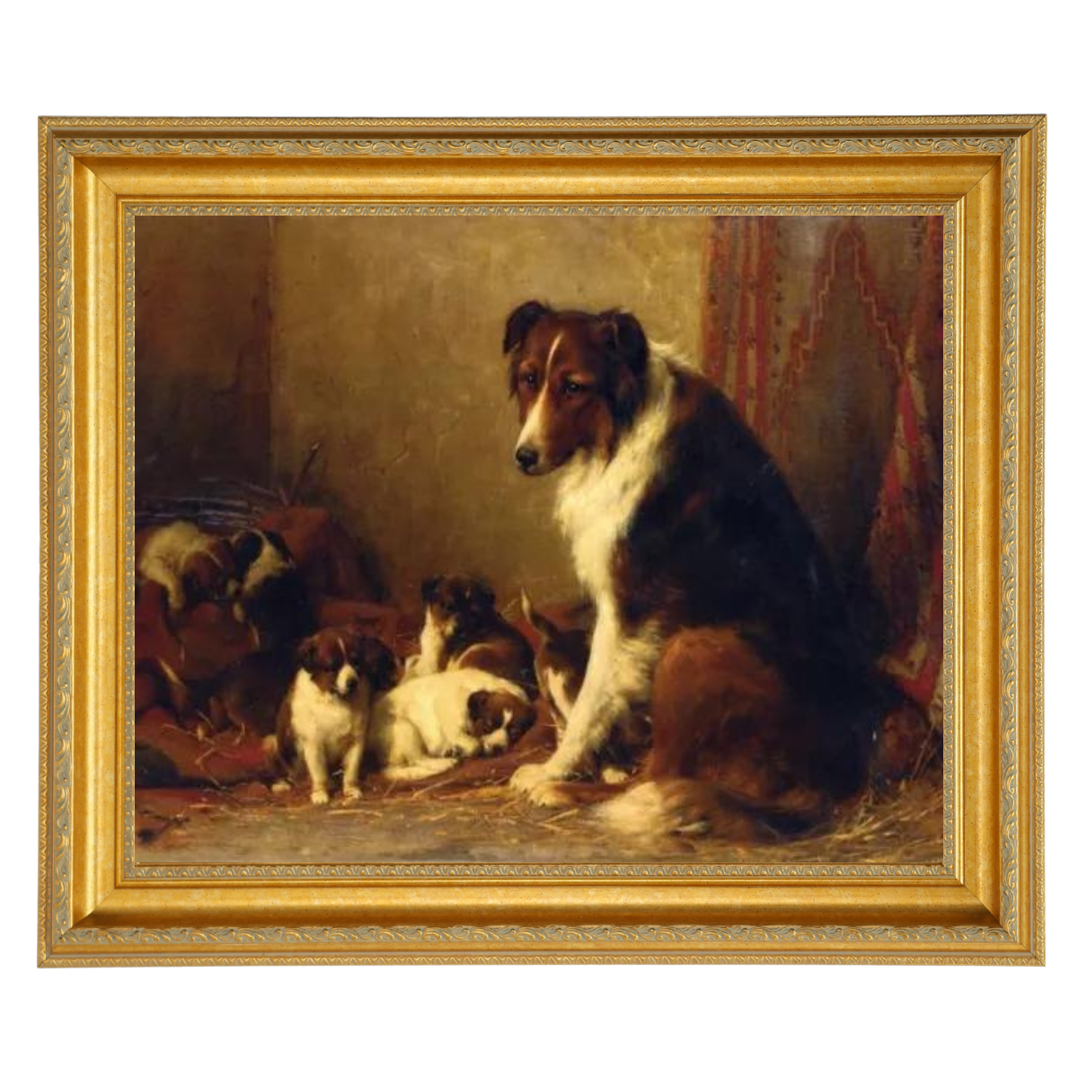 A Collie and Her Puppies