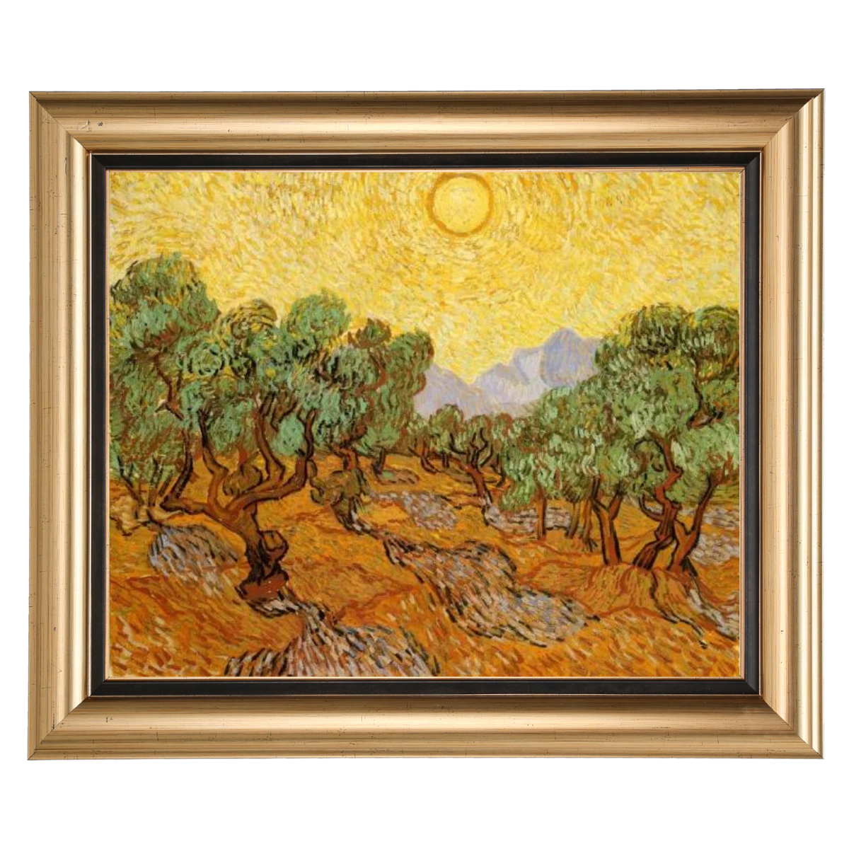 Olive Trees with Yellow Sky and Sun