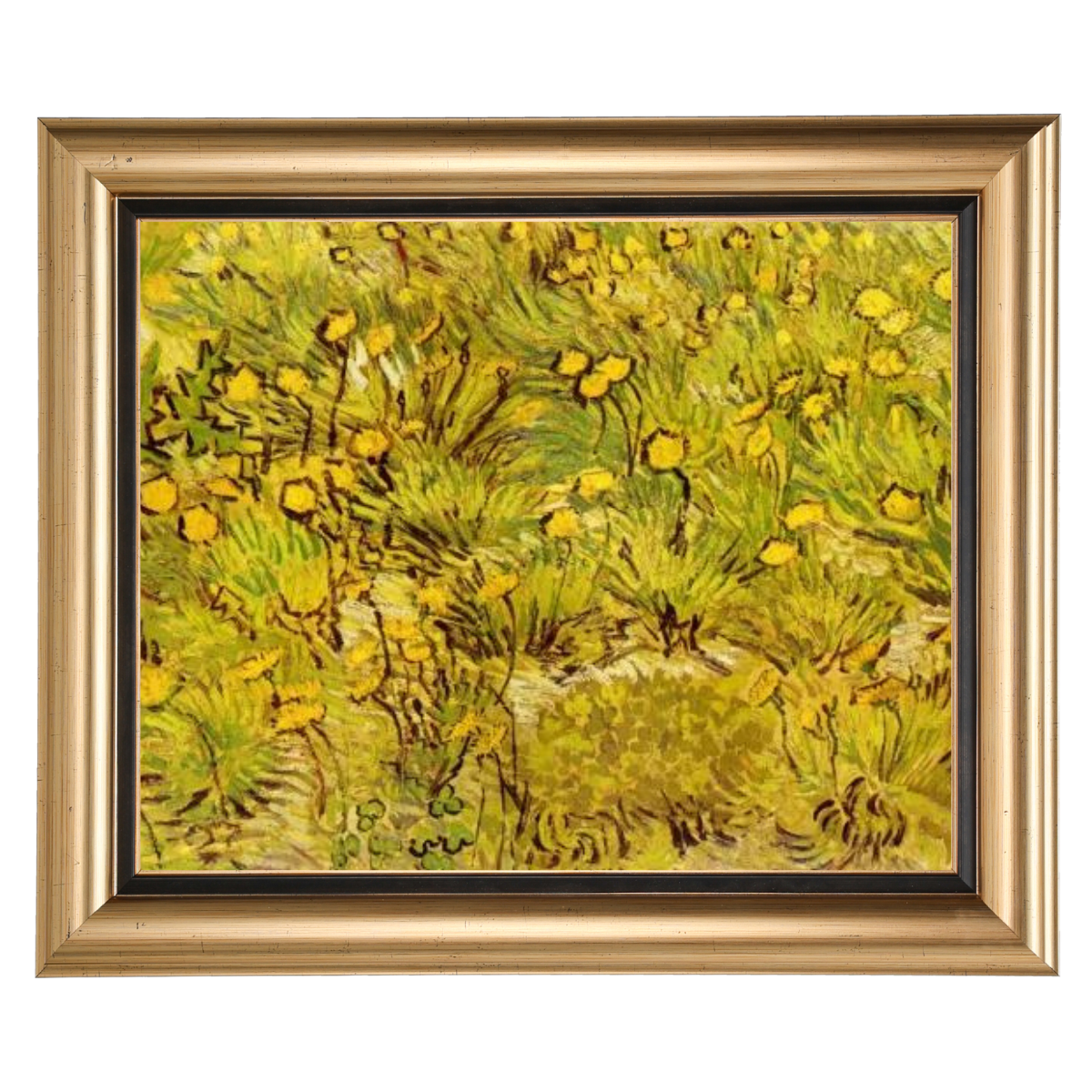 A Field of Yellow Flowers