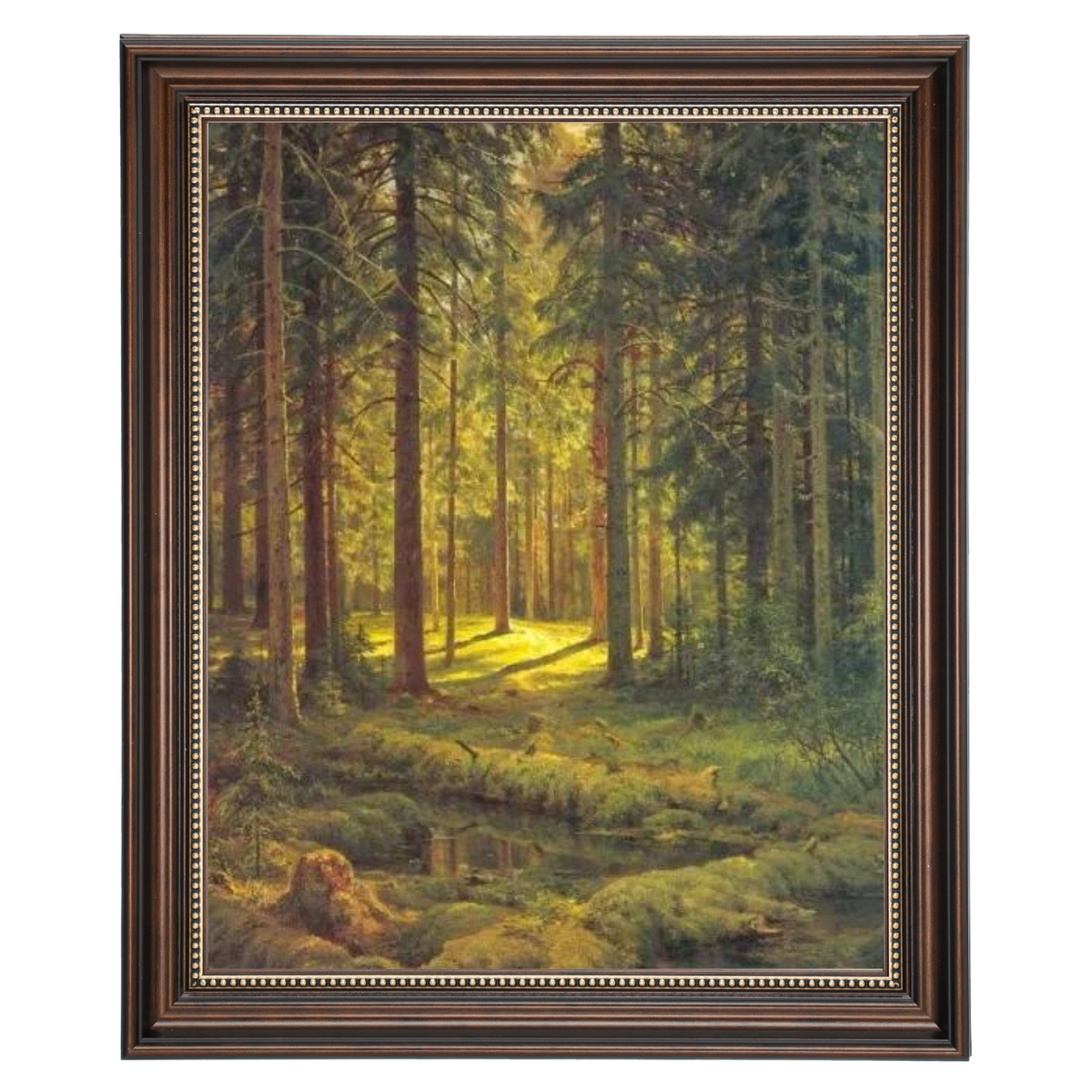 A Coniferous Forest. Sunny Day