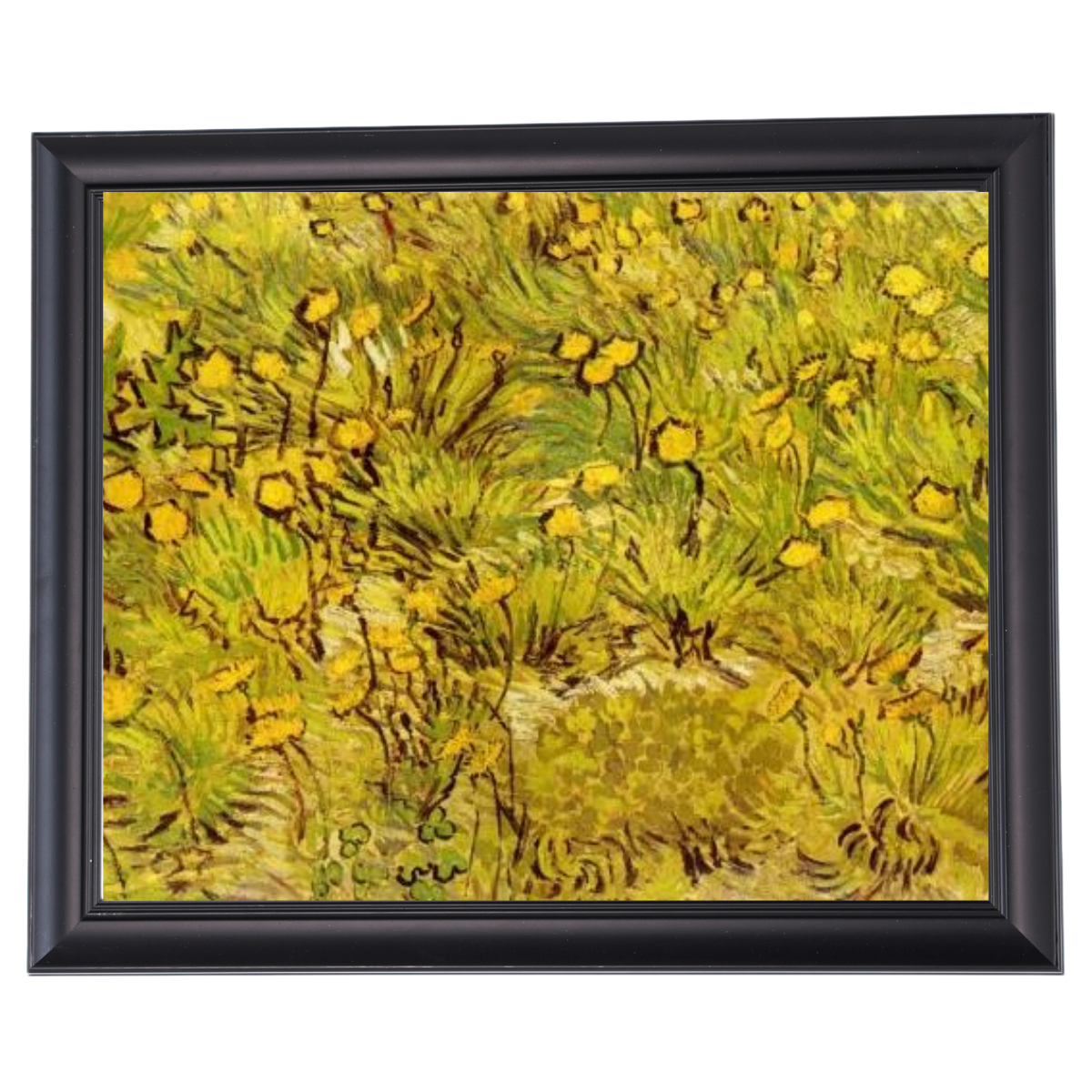 A Field of Yellow Flowers