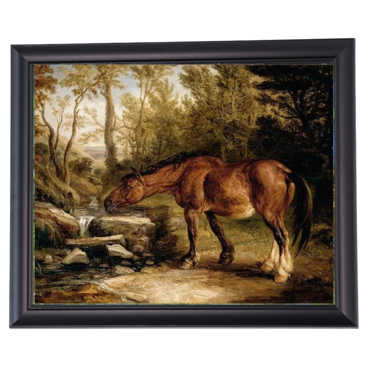 A Horse Drinking at a Stream