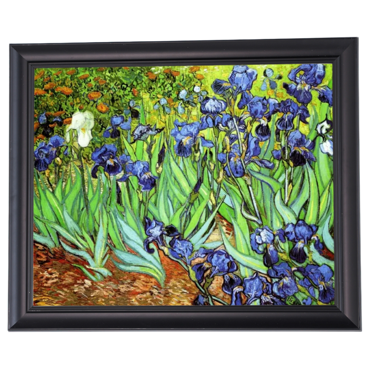 Irises II- Floral Wall Art Prints Decor For Living Room