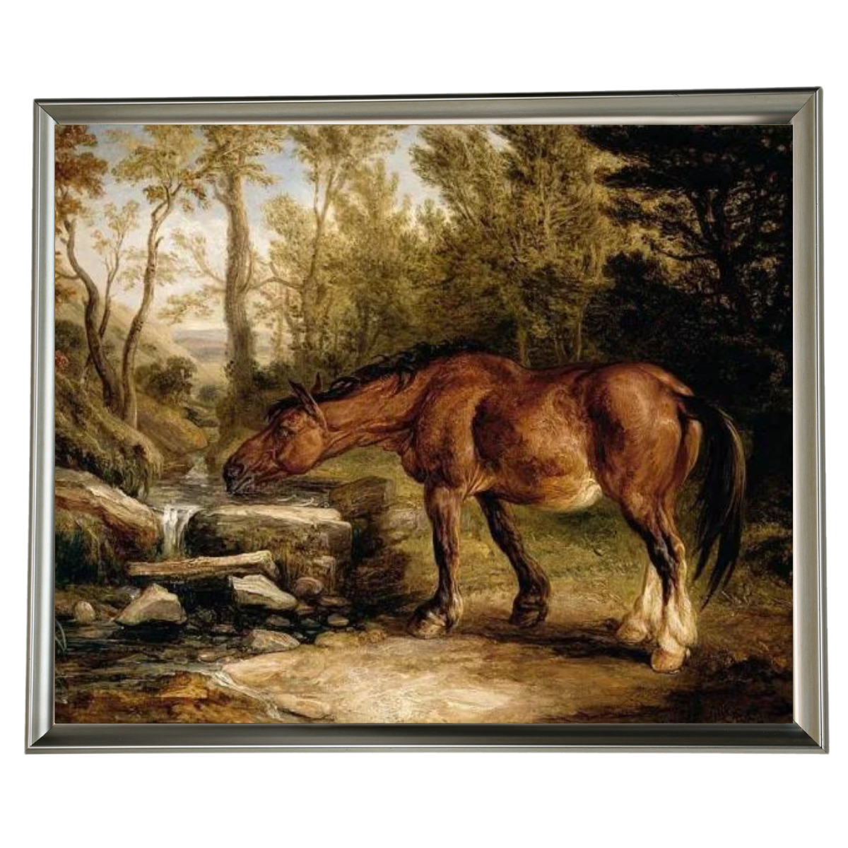 A Horse Drinking at a Stream