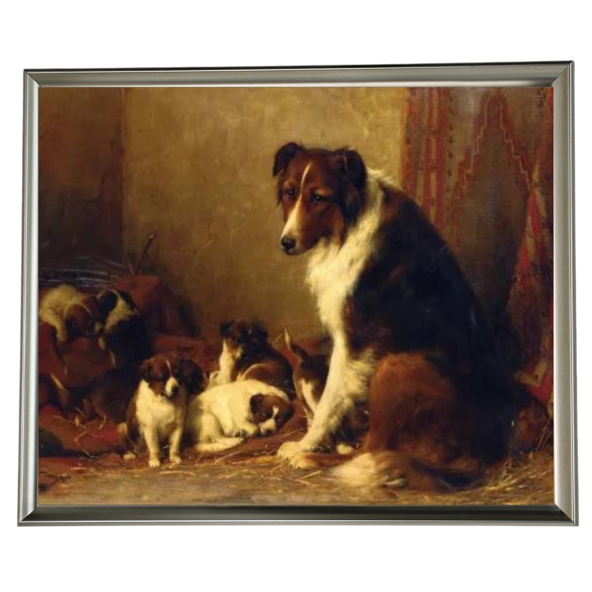 A Collie and Her Puppies