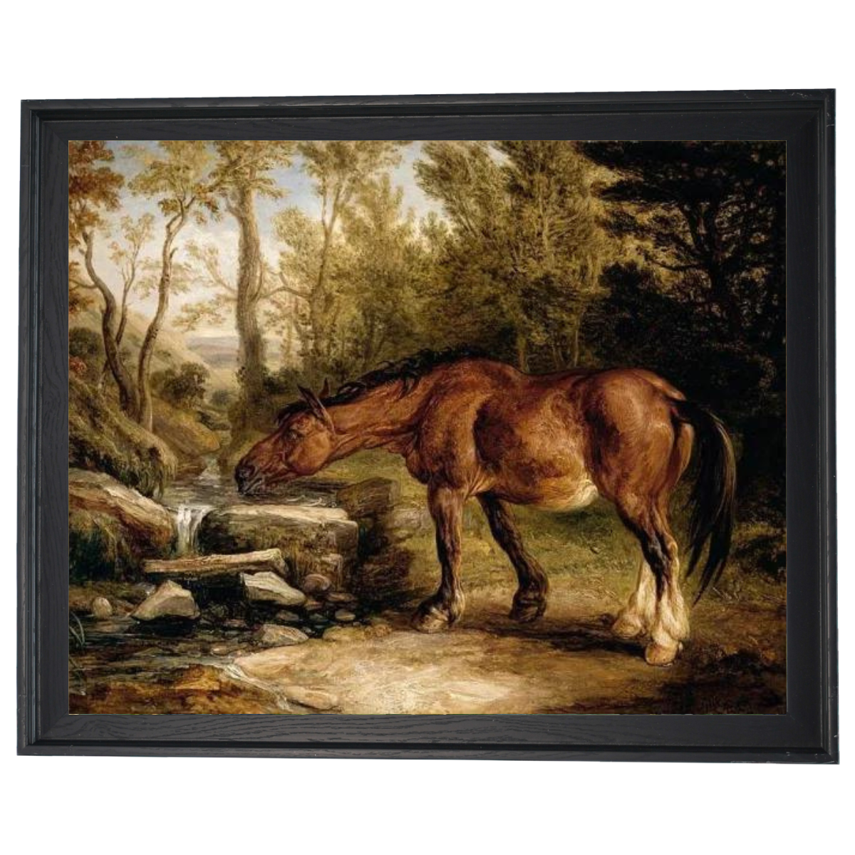 A Horse Drinking at a Stream