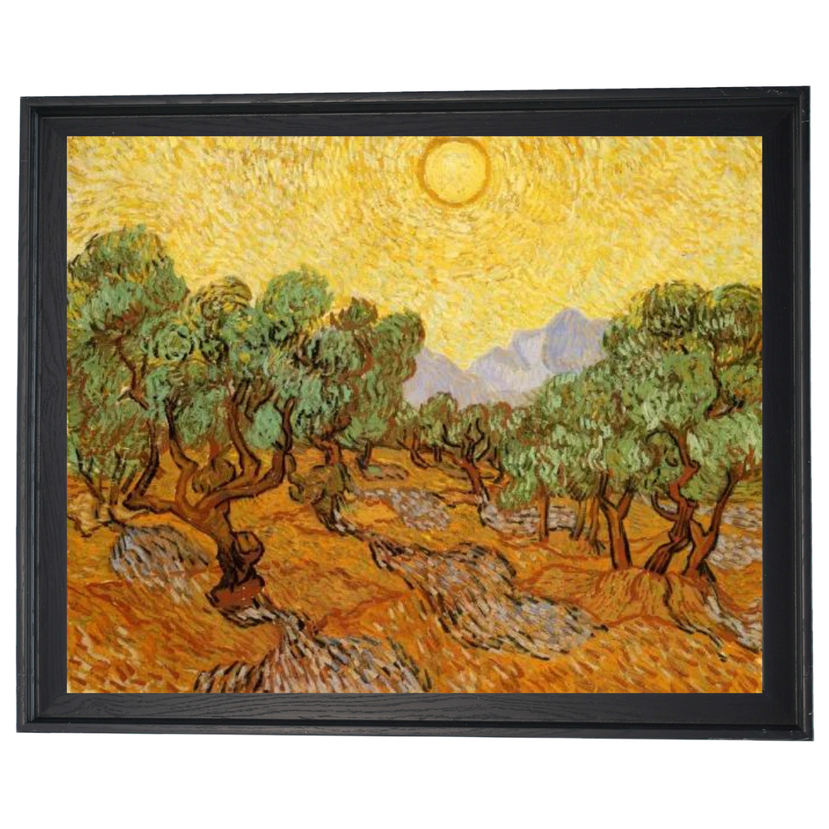 Olive Trees with Yellow Sky and Sun