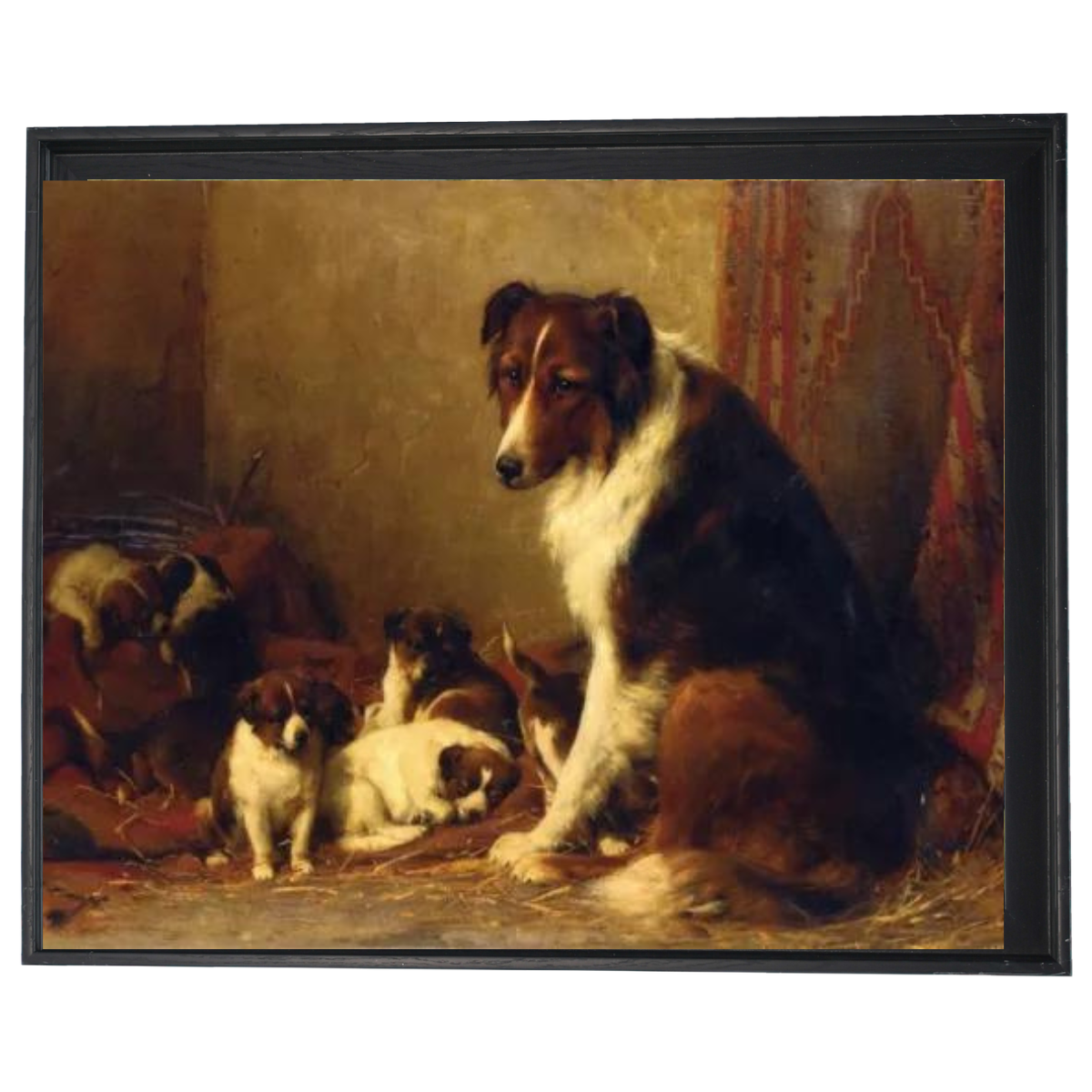 A Collie and Her Puppies