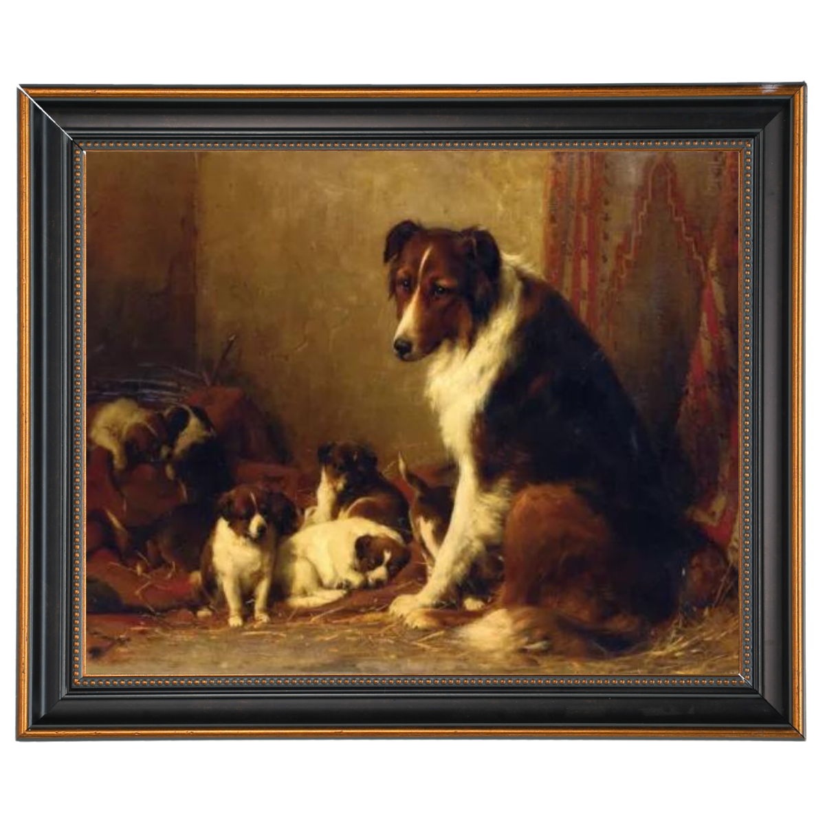 A Collie and Her Puppies