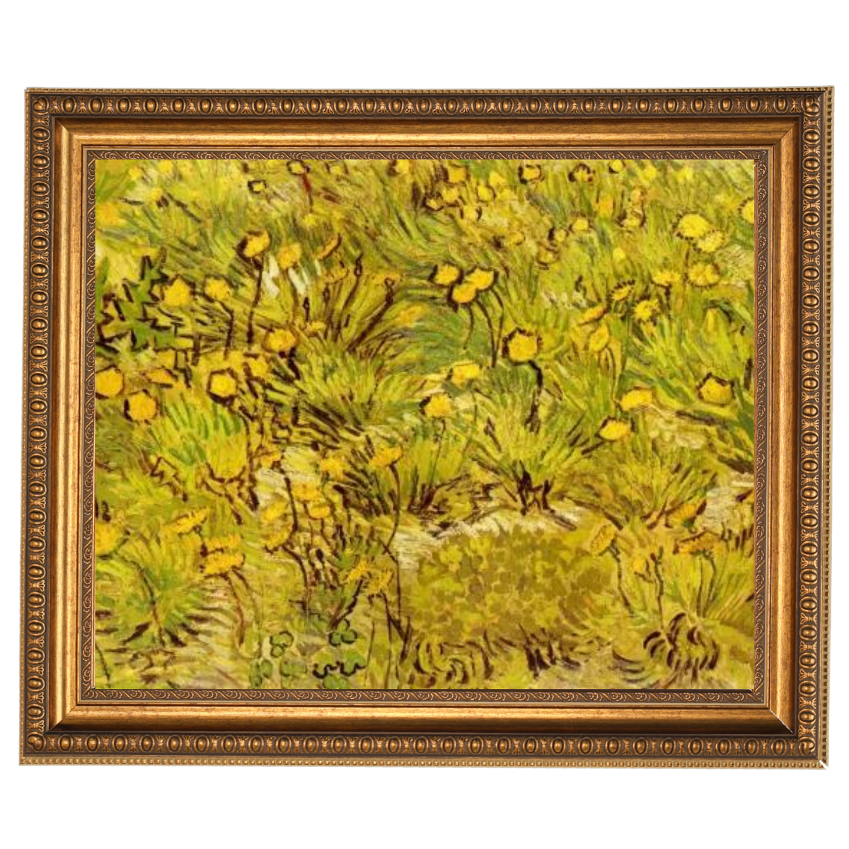 A Field of Yellow Flowers