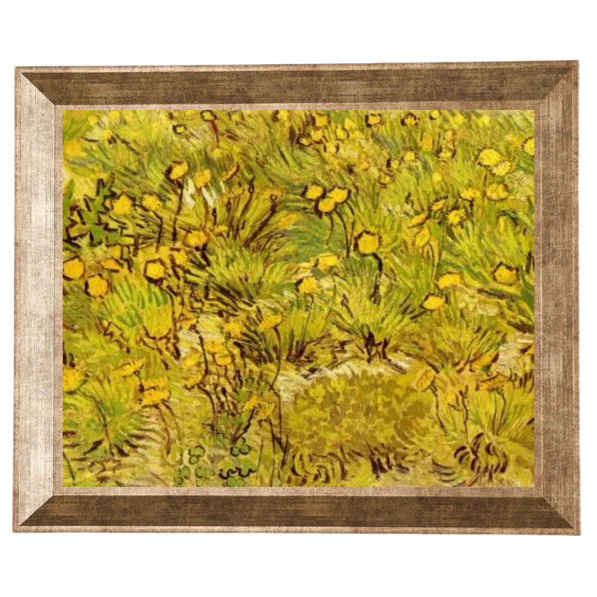 A Field of Yellow Flowers