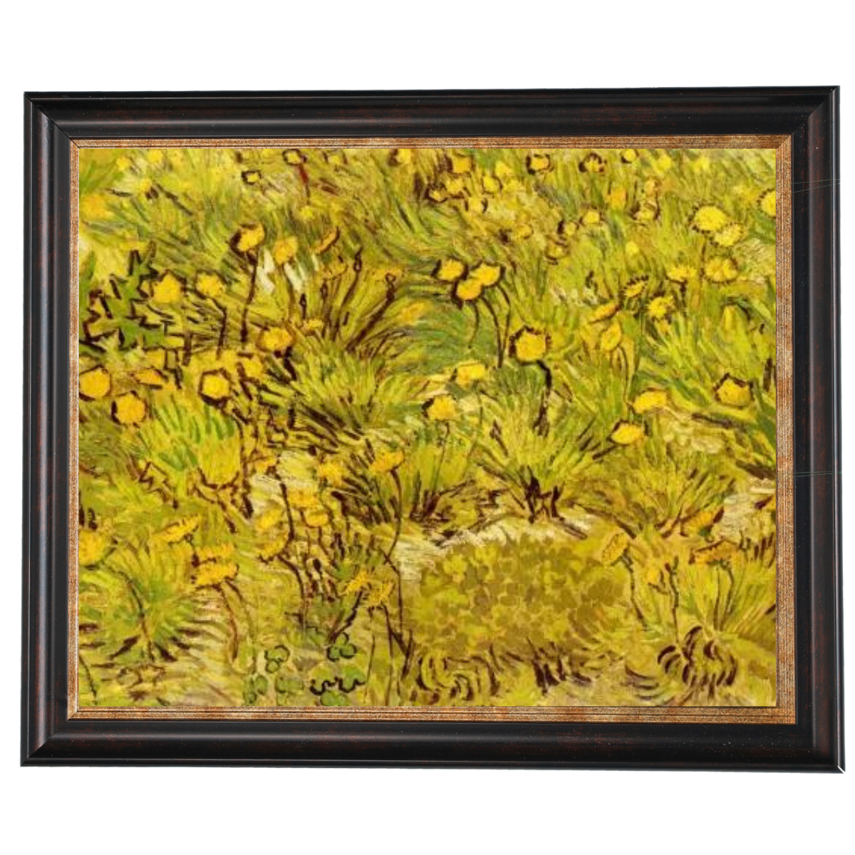 A Field of Yellow Flowers
