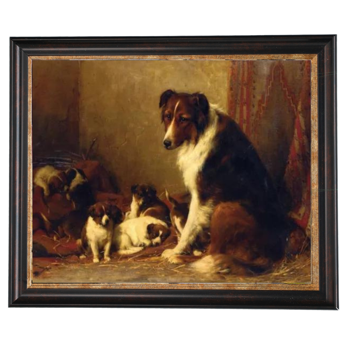 A Collie and Her Puppies