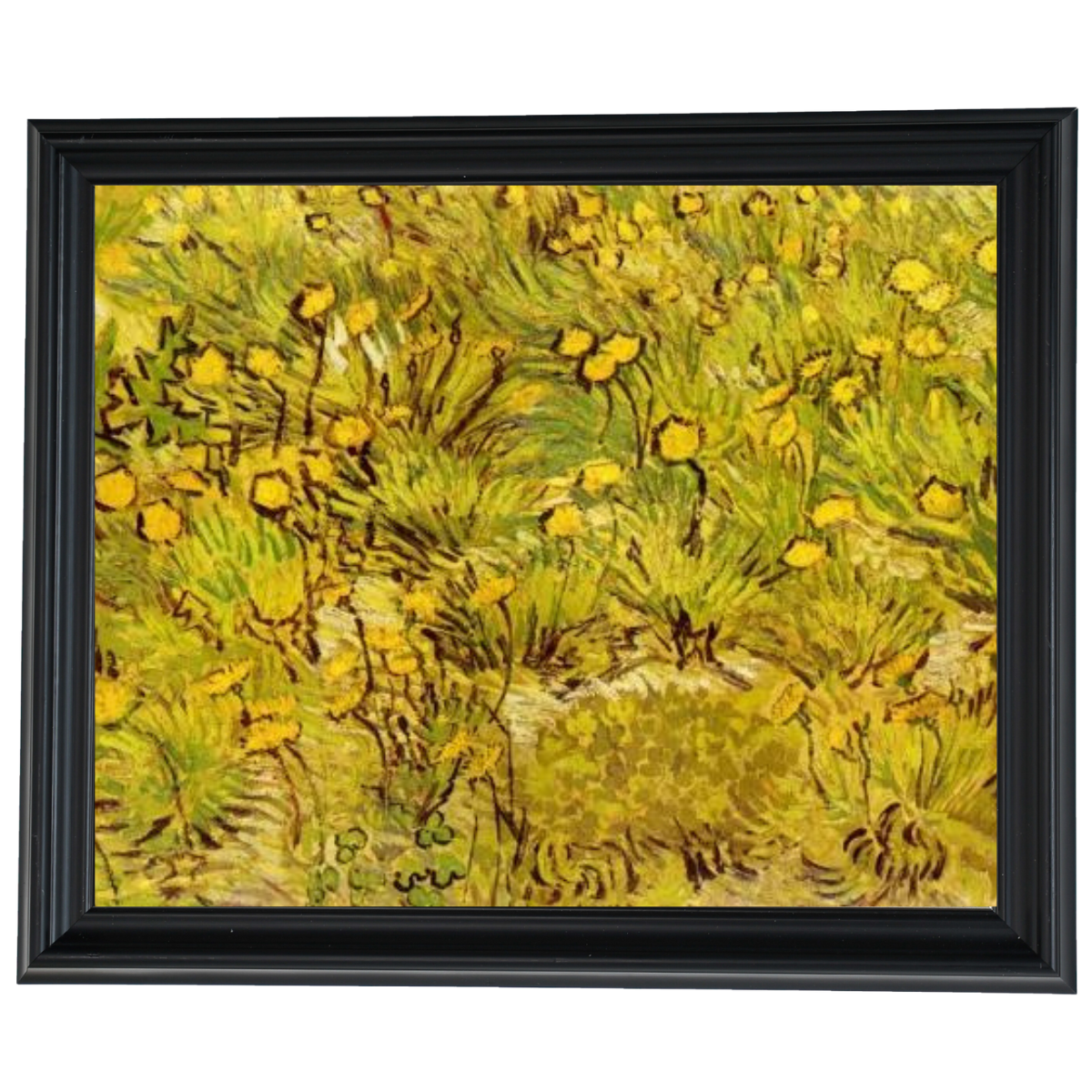 A Field of Yellow Flowers