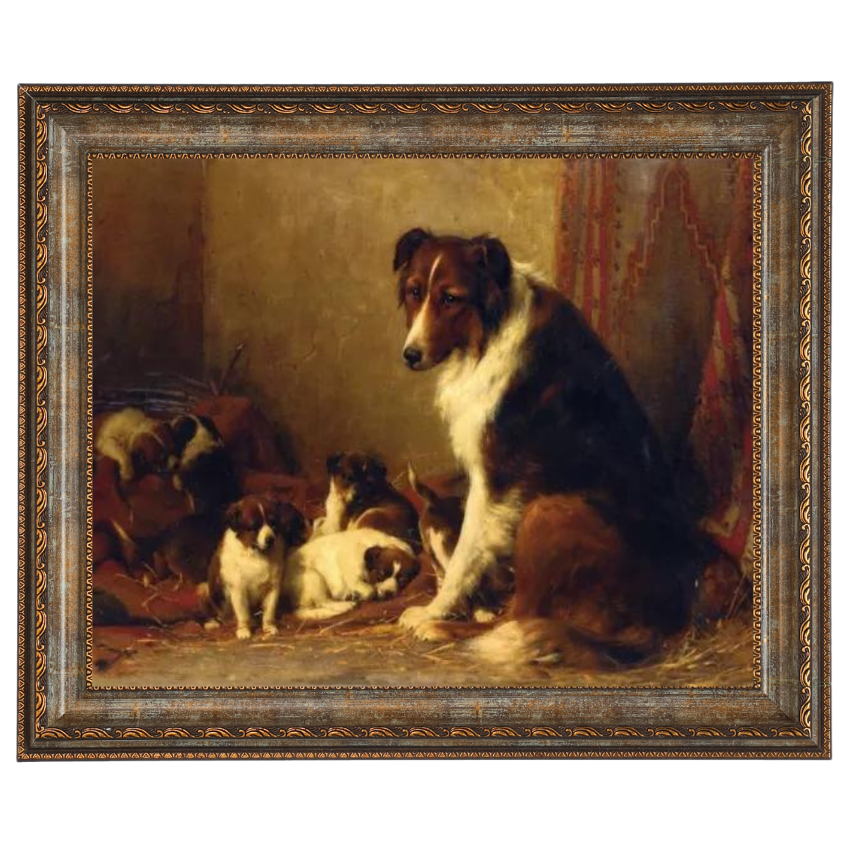 A Collie and Her Puppies