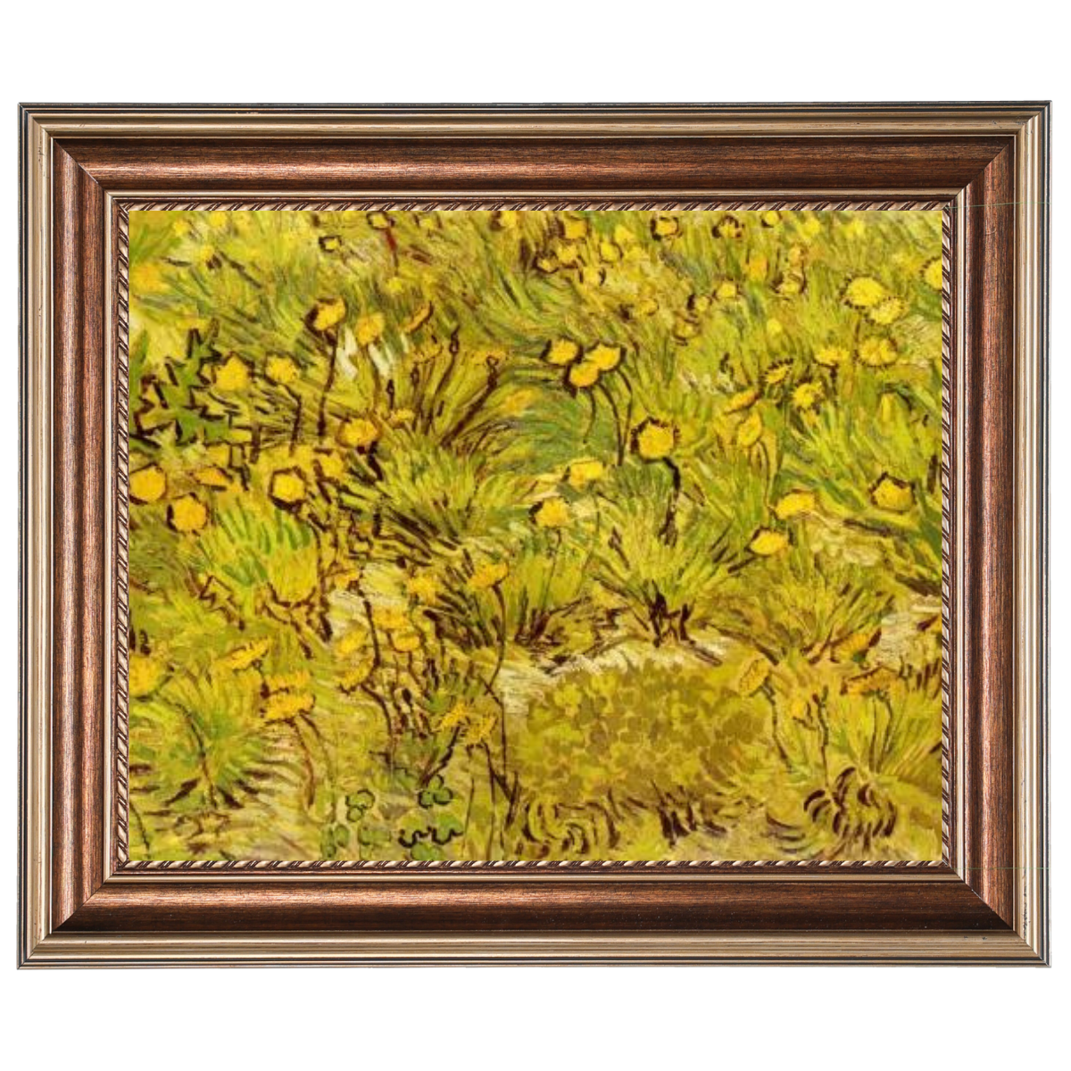 A Field of Yellow Flowers