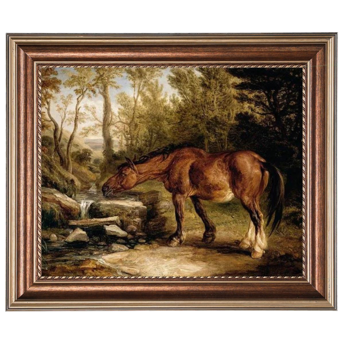 A Horse Drinking at a Stream