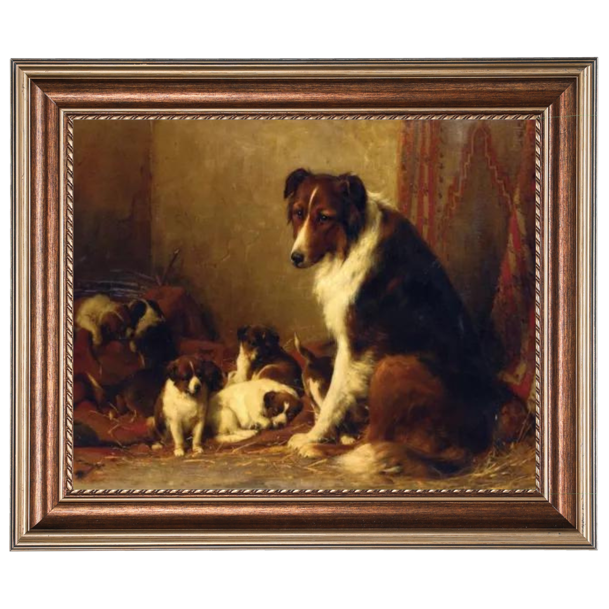 A Collie and Her Puppies