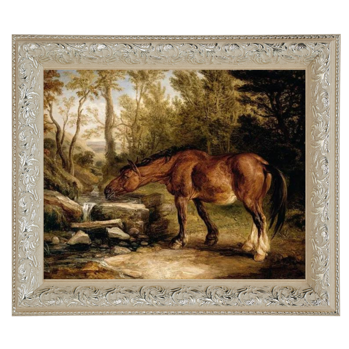 A Horse Drinking at a Stream