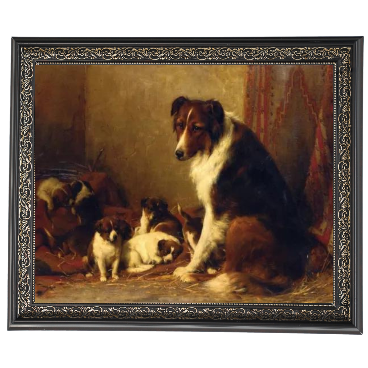 A Collie and Her Puppies