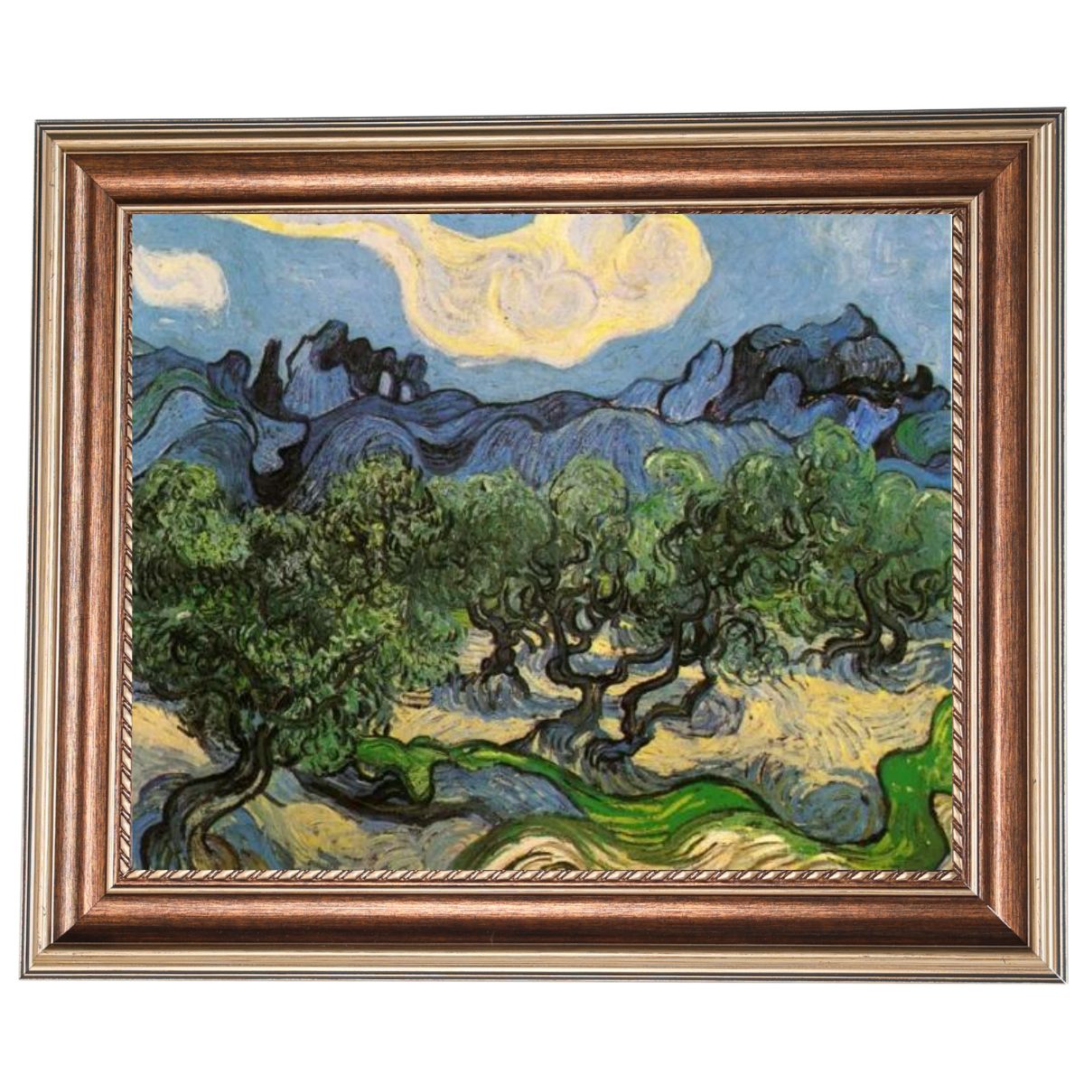 Olive Trees with the Alpilles in the Background