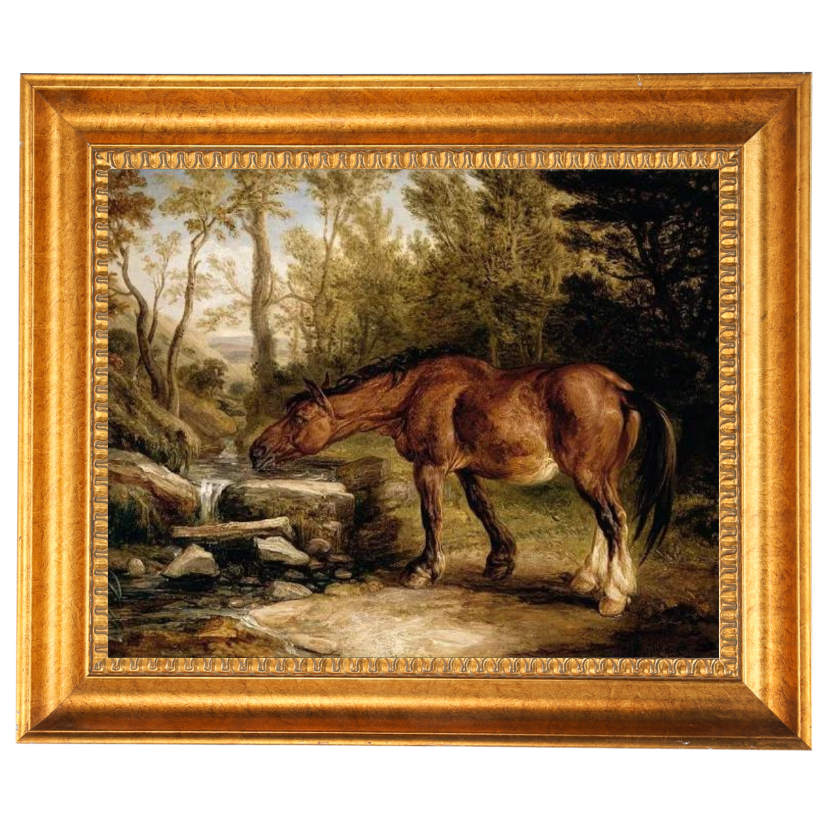 A Horse Drinking at a Stream