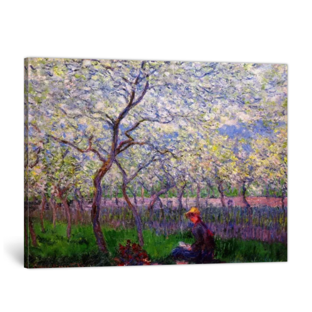 An Orchard in Spring