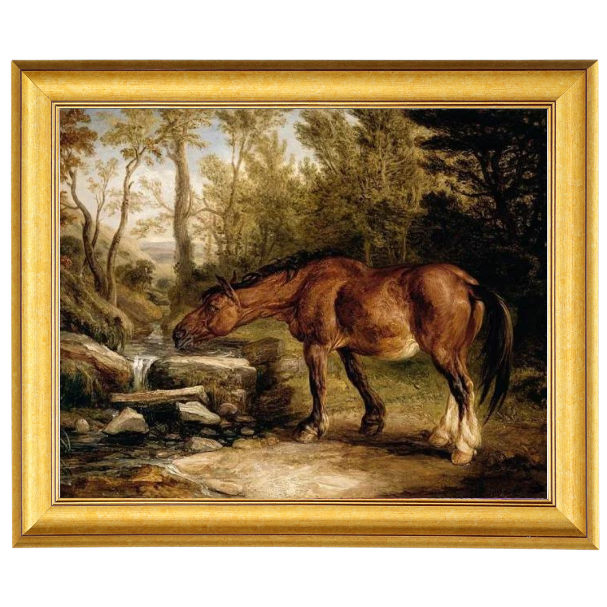 A Horse Drinking at a Stream