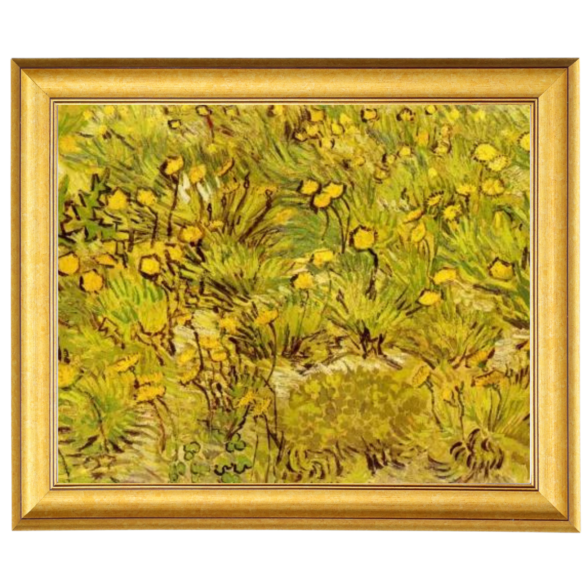 A Field of Yellow Flowers