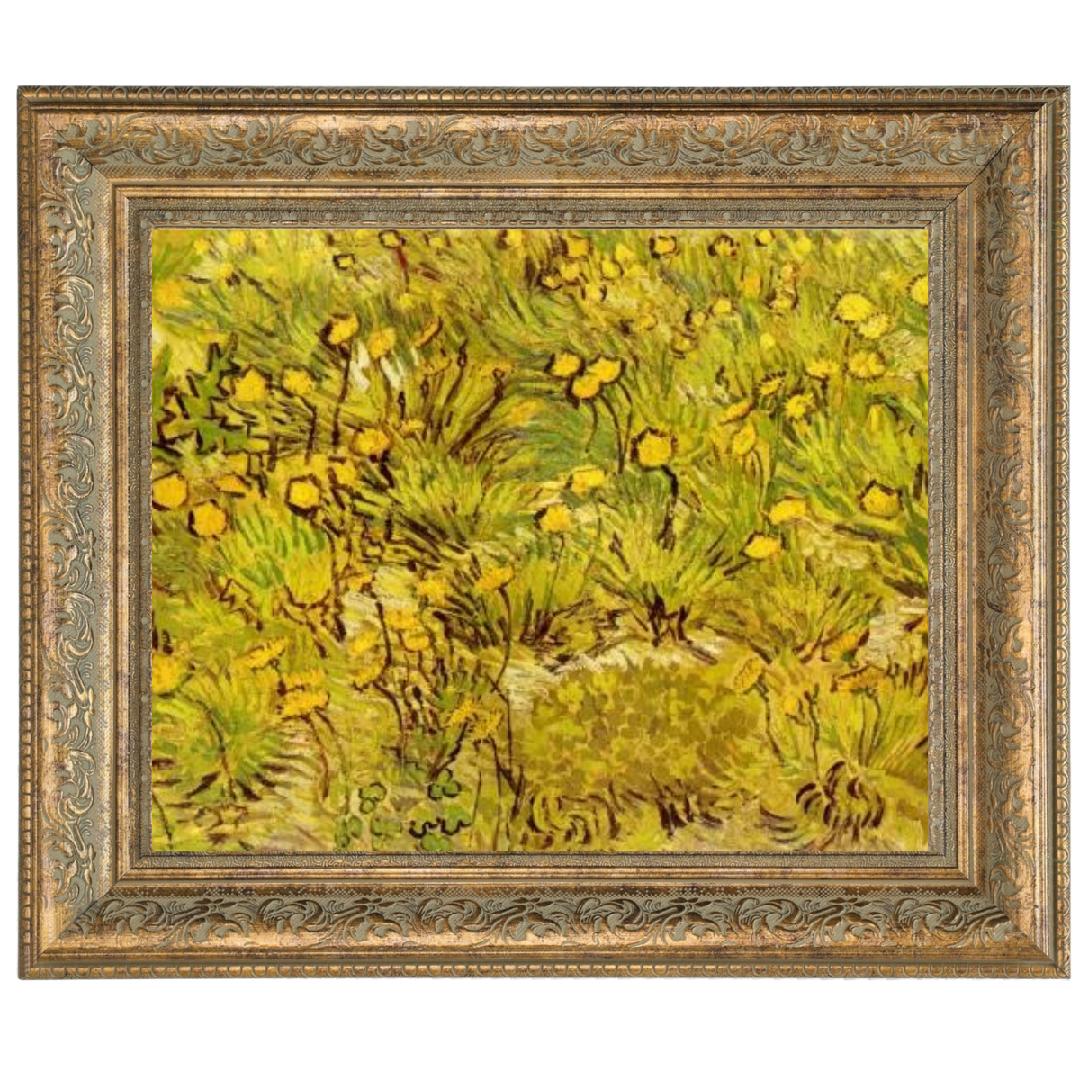 A Field of Yellow Flowers