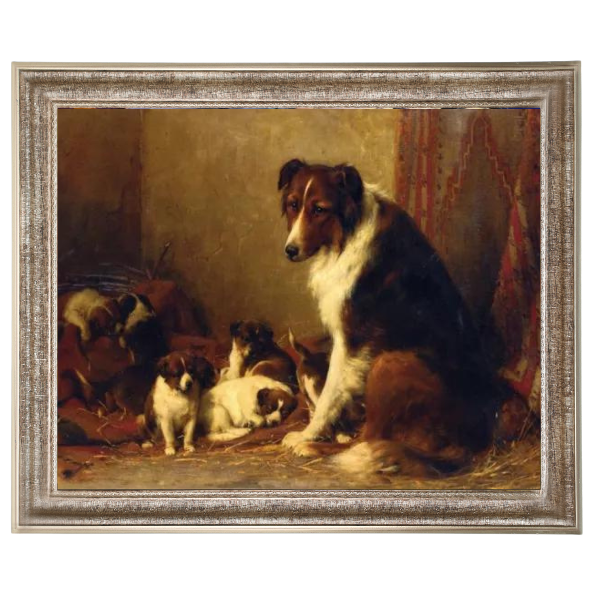 A Collie and Her Puppies