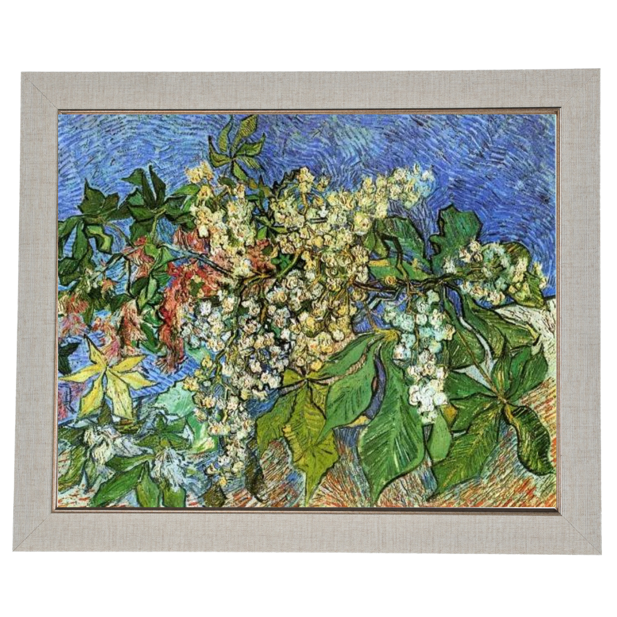 Blossoming Chestnut Branches