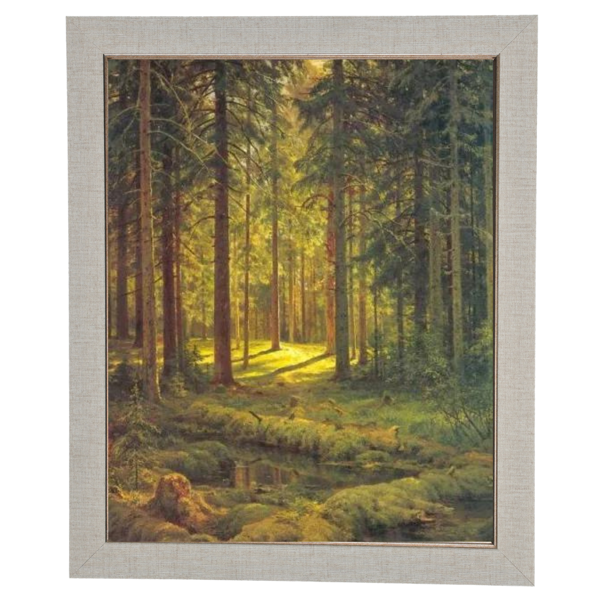 A Coniferous Forest. Sunny Day