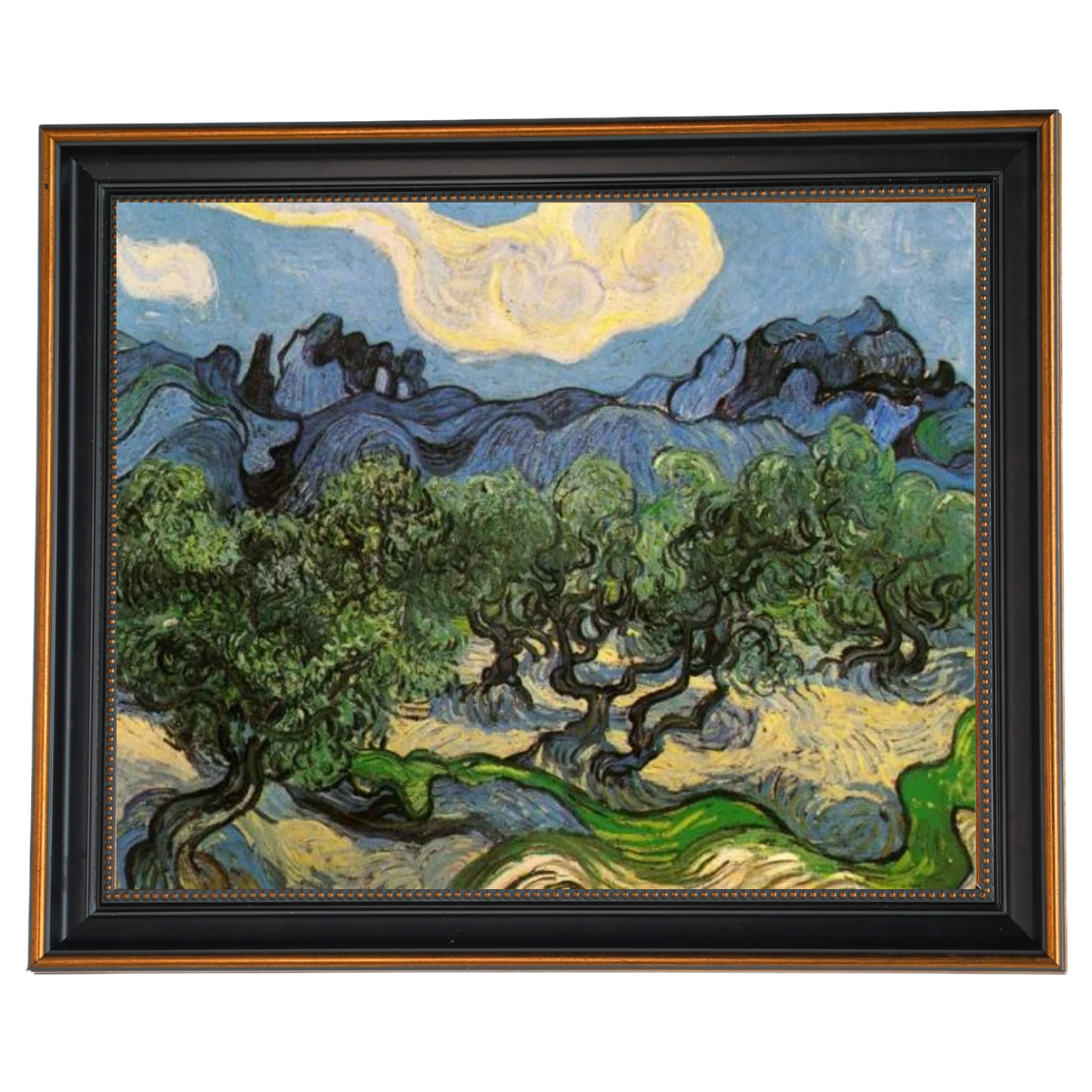 Olive Trees with the Alpilles in the Background