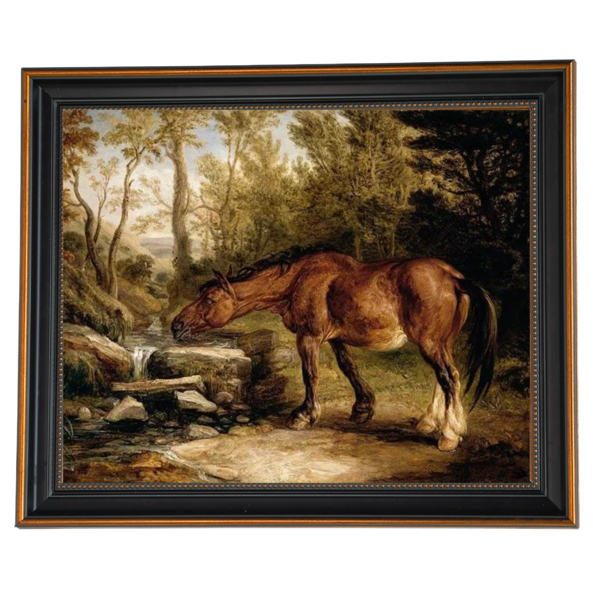 A Horse Drinking at a Stream