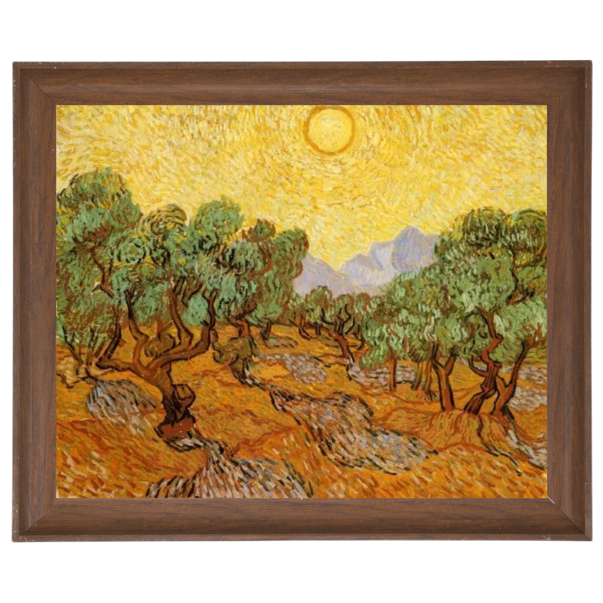 Olive Trees with Yellow Sky and Sun