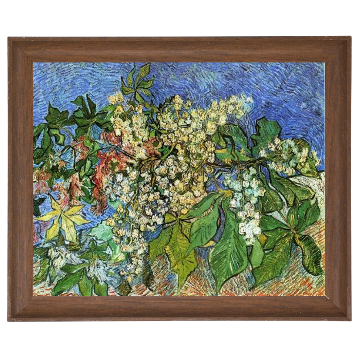 Blossoming Chestnut Branches