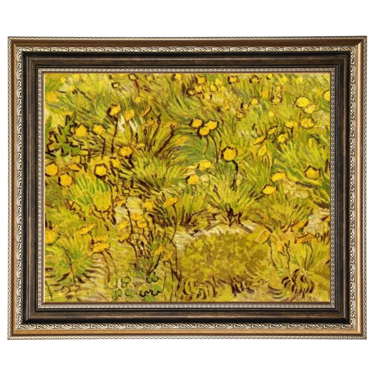 A Field of Yellow Flowers
