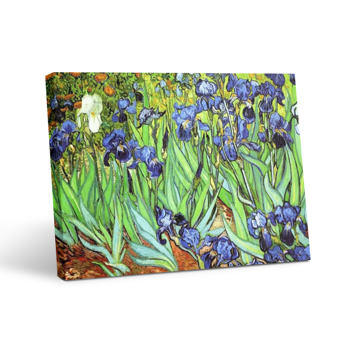 Irises II- Floral Wall Art Prints Decor For Living Room